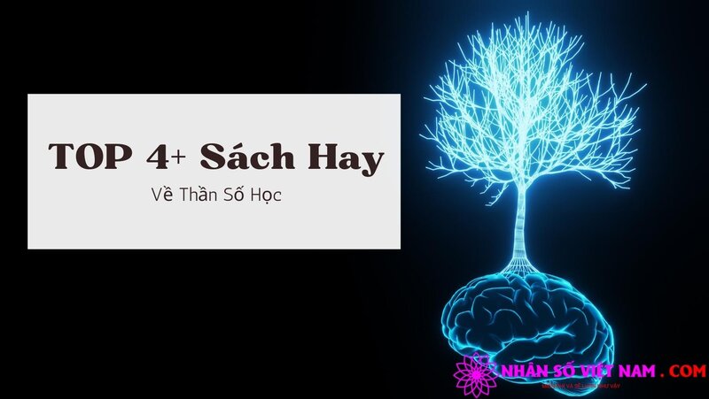Top 4+ sách Thần số học hay, thú vị và đáng đọc thử nhất