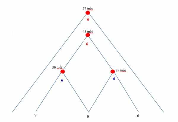 Gắn 4 đỉnh của kim tự tháp thần số học với tuổi tương ứng