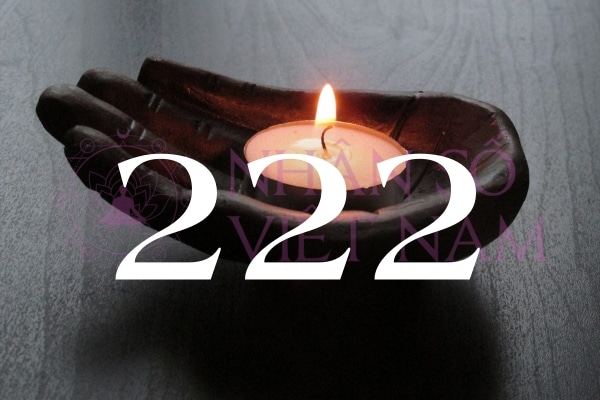 Nếu vũ trụ gửi cho bạn thông điệp về số thiên thần 222 thì nên xem xét nó một cách nghiêm túc