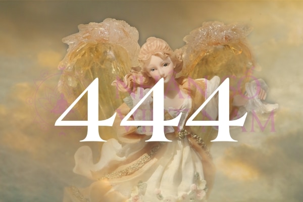 Số thiên thần 444 xuất hiện nghĩa là các thiên thần hộ mệnh đang cố gắng kết nối với bạn
