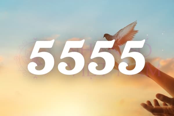 Số 5555 là lời khuyến khích từ các thiên thần rằng bạn đừng đánh mất hy vọng về mối quan hệ của mình. 